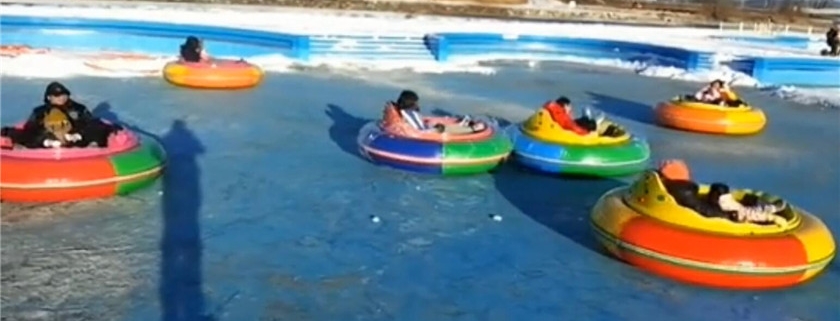 Bumper Cars on Ice for Sale